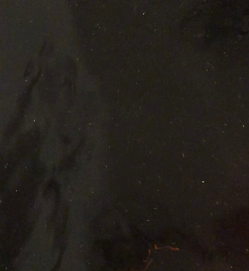 Yule Cauldron Bathbomb